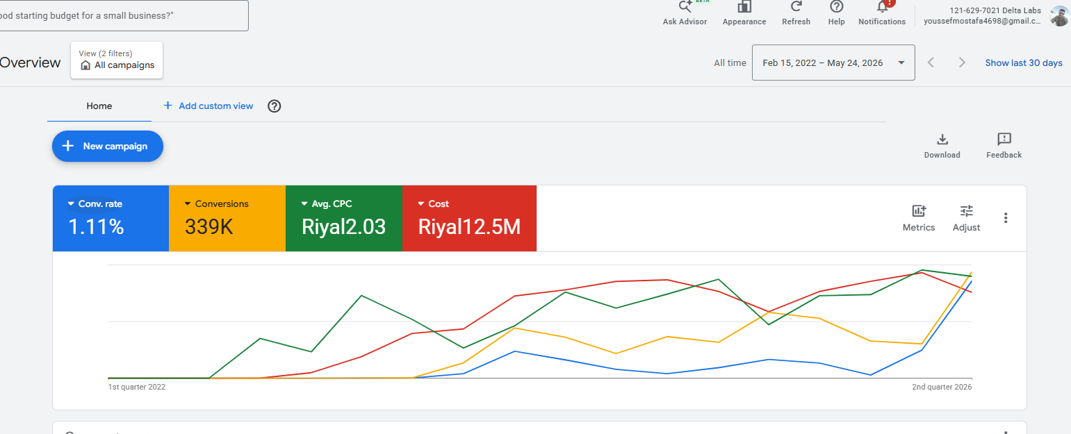 Google Ads dashboard — Delta Labs — Efficiency View